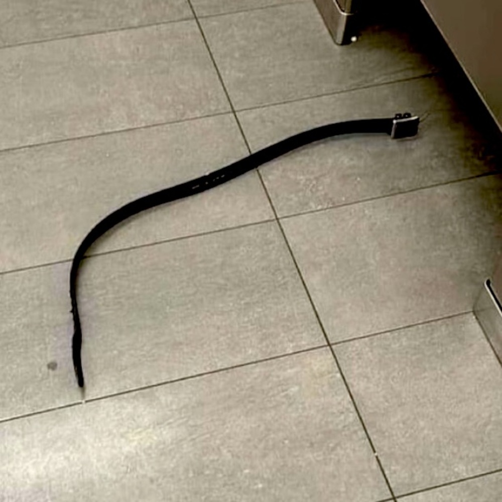 Airport belt